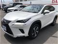 2018 Lexus NX