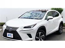 2018 Lexus NX