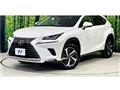 2018 Lexus NX