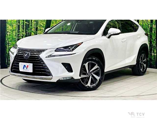 2018 Lexus NX