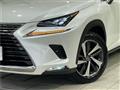 2018 Lexus NX