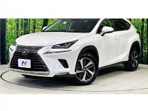 2018 Lexus NX