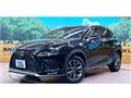 2018 Lexus NX