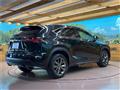 2018 Lexus NX