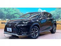 2018 Lexus NX