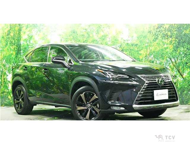 2018 Lexus NX