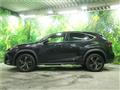 2018 Lexus NX