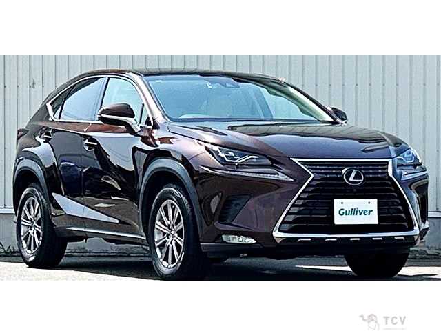 2018 Lexus NX