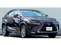 2018 Lexus NX