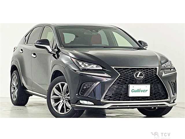 2018 Lexus NX