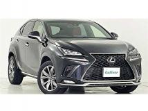 2018 Lexus NX