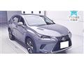 2018 Lexus NX
