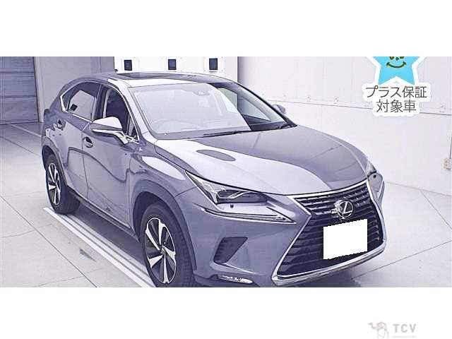 2018 Lexus NX