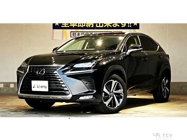 2018 Lexus NX