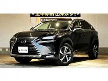 2018 Lexus NX