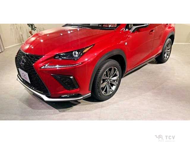 2018 Lexus NX