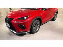 2018 Lexus NX