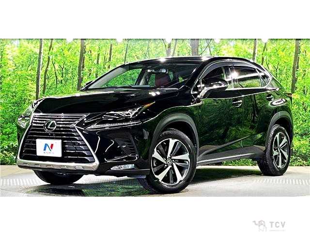 2018 Lexus NX