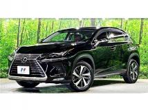 2018 Lexus NX