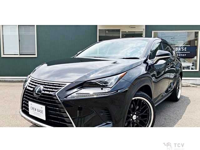 2018 Lexus NX