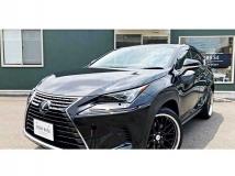 2018 Lexus NX