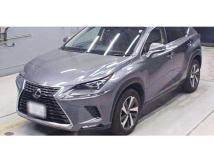 2018 Lexus NX