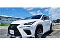 2018 Lexus NX