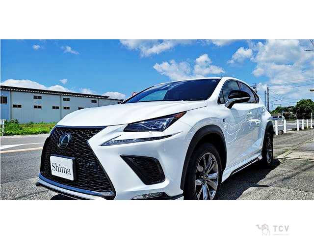 2018 Lexus NX