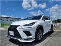 2018 Lexus NX