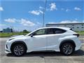 2018 Lexus NX