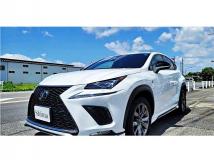 2018 Lexus NX