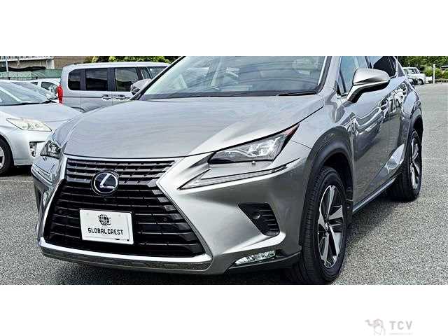 2018 Lexus NX