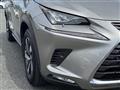 2018 Lexus NX