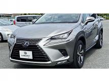 2018 Lexus NX