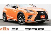 2018 Lexus NX