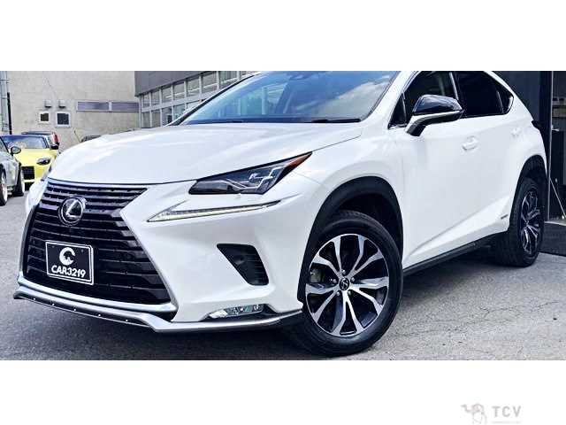 2018 Lexus NX
