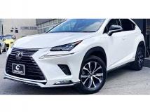 2018 Lexus NX