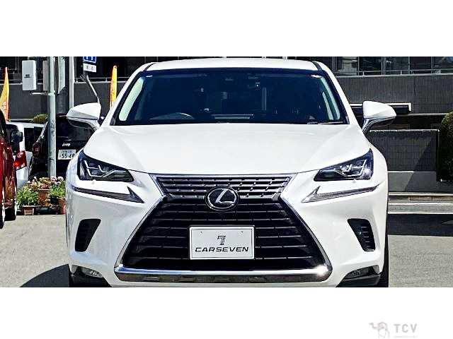 2018 Lexus NX
