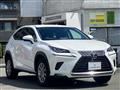 2018 Lexus NX