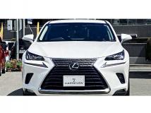 2018 Lexus NX