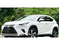 2018 Lexus NX
