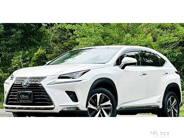 2018 Lexus NX