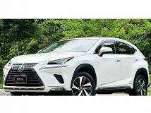 2018 Lexus NX