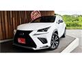 2018 Lexus NX