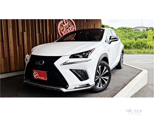 2018 Lexus NX