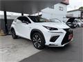 2018 Lexus NX