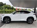 2018 Lexus NX
