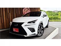 2018 Lexus NX