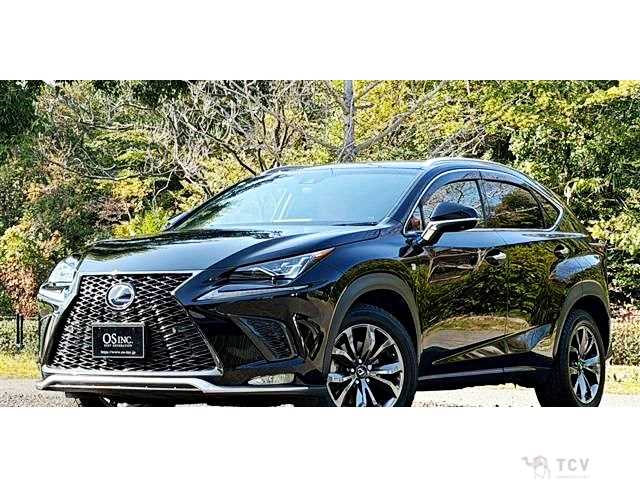 2018 Lexus NX