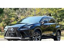 2018 Lexus NX
